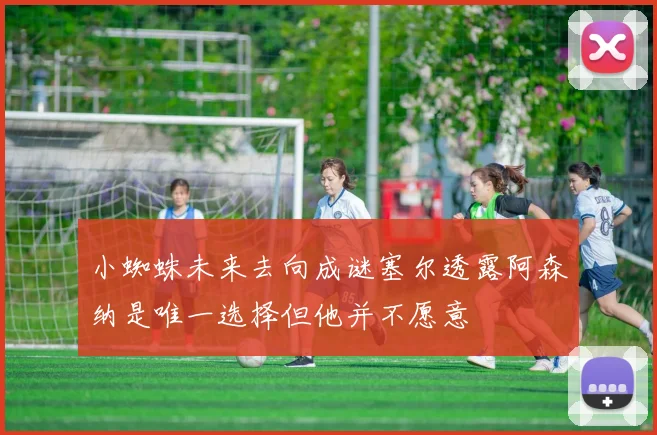 小蜘蛛未来去向成谜塞尔透露阿森纳是唯一选择但他并不愿意
