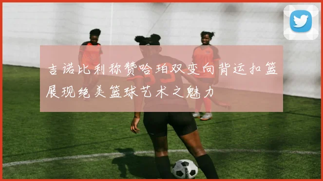 吉诺比利称赞哈珀双变向背运扣篮展现绝美篮球艺术之魅力