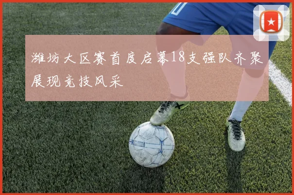 潍坊大区赛首度启幕18支强队齐聚展现竞技风采